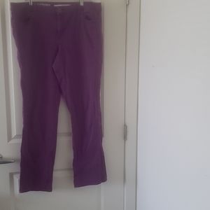 Soho Skinny Purple Jeans